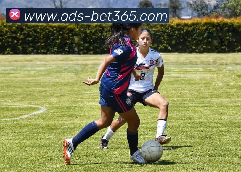 bet365平台生态图